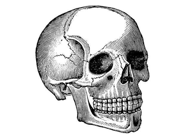 Vintage Skull Illustration