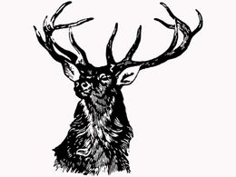 Vintage Stag