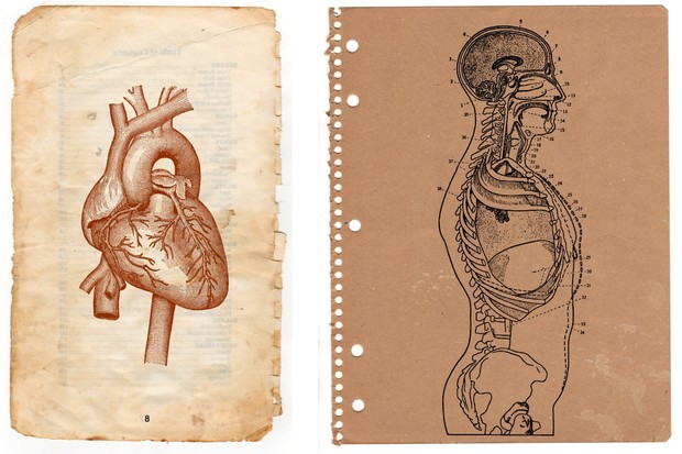 50 Vintage Anatomy Vectors