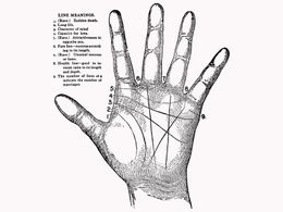 Vintage Palmistry