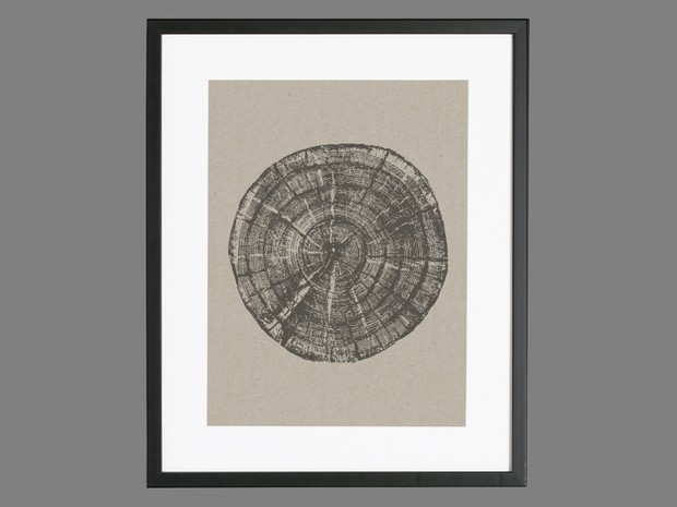 Tree Rings Texture