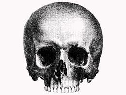 Halftone Skull