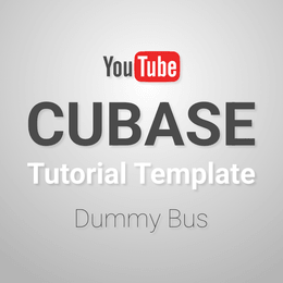 Template: Dummy Bus Setup