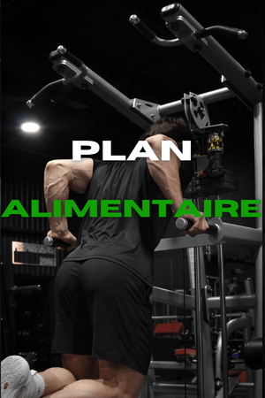 Plan alimentaire