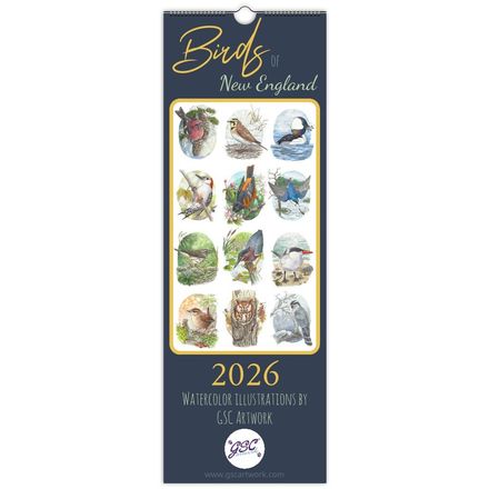 Birds of New England 2026 Calendar