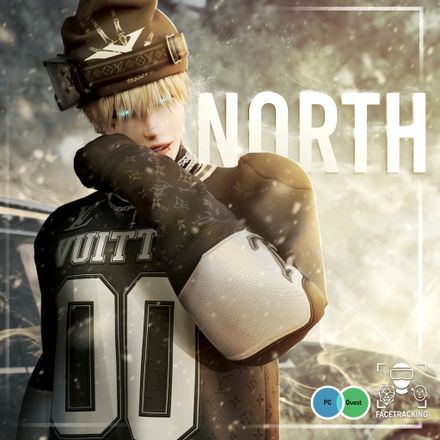 North (PC | Opti | Face Tracking | Quest)
