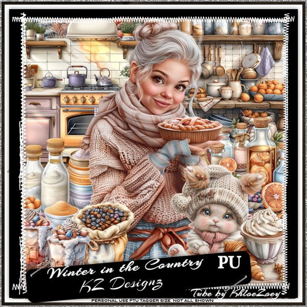 KZ-Winter in the Country