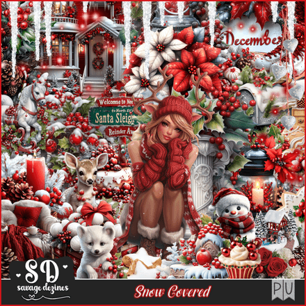 SD - Snow Covered Kit