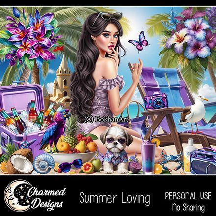 CD- Summer Loving