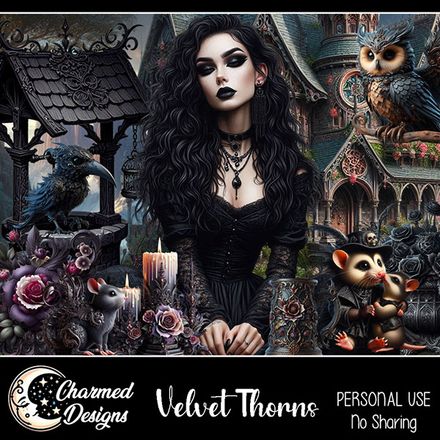 CD- Velvet Thorns