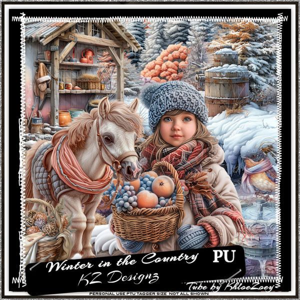 KZ-Winter in the Country