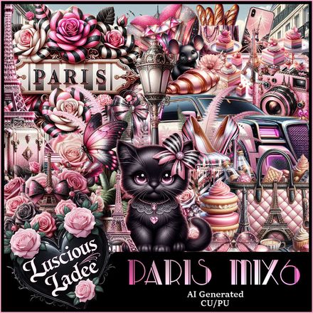 LL-Paris Mix 6