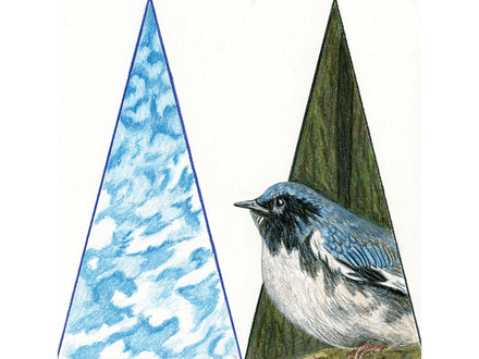 Warbler in the Void giclee fine art print