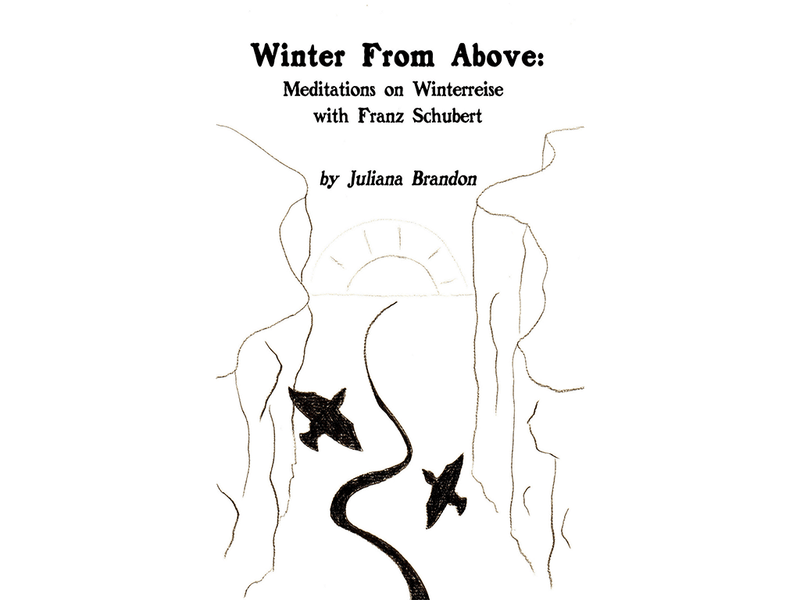 Winter From Above