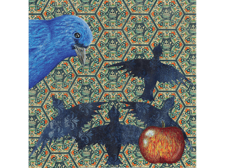 Royal Bluebird fine art giclee print