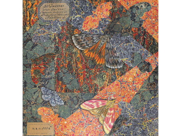 Bark and Beams original collage on panel