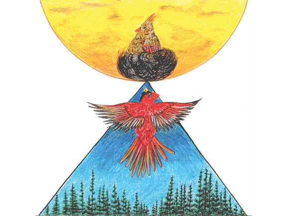 Cardinal Contact fine art giclee print