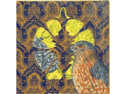 Cooper&#x27;s Hawk original drawing and collage on panel