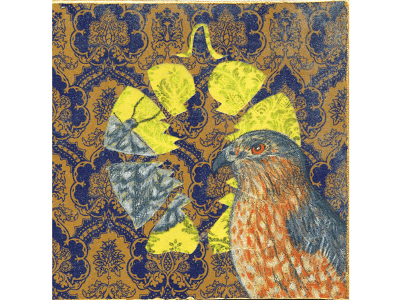 Cooper&#x27;s Hawk original drawing and collage on panel