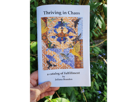 Thriving in Chaos book