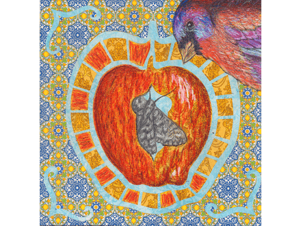 Varied Bunting fine art giclee print