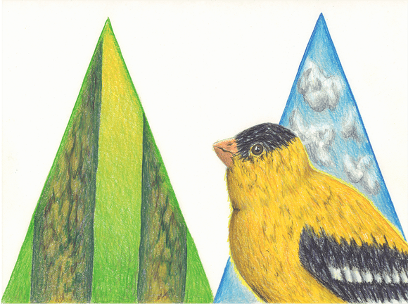 Glowing Goldfinch original colored pencil drawing