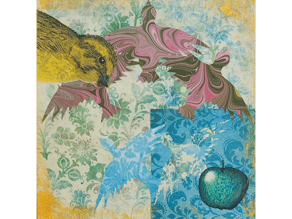 Brazen Canary fine art print