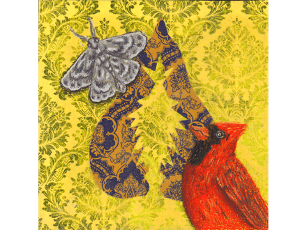 Cardinal and Moth fine art giclee print