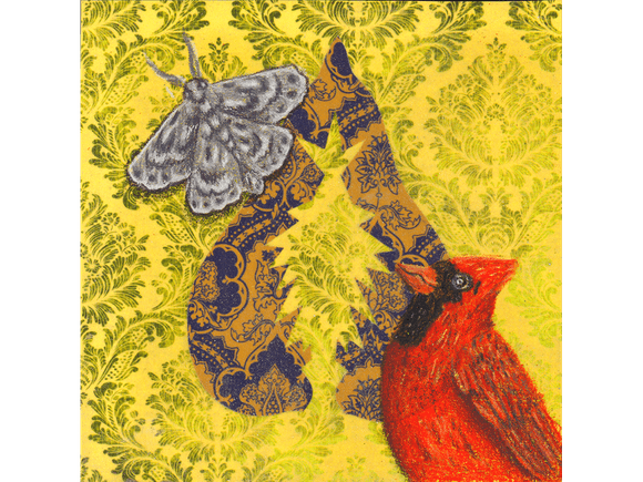Cardinal and Moth fine art giclee print