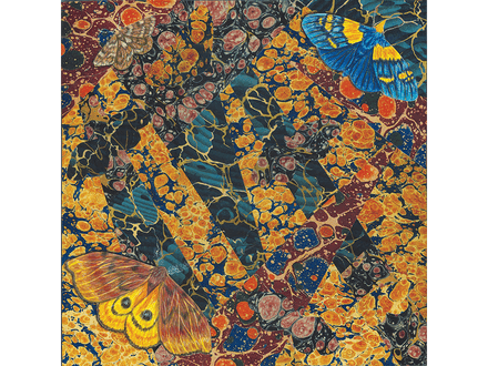 Jungle Light original collage on panel