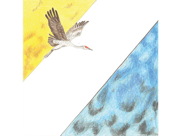 First Stretch original colored pencil drawing