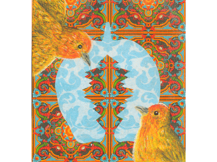 Orange Fronted Yellow Finches fine art giclee print