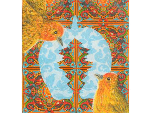 Orange Fronted Yellow Finches fine art giclee print