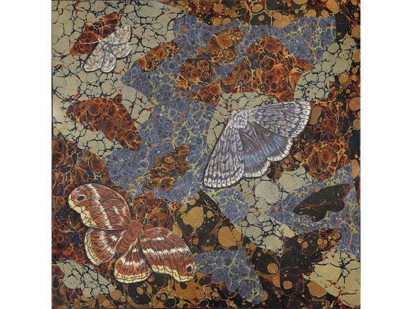 Beyond Compare fine art giclee print