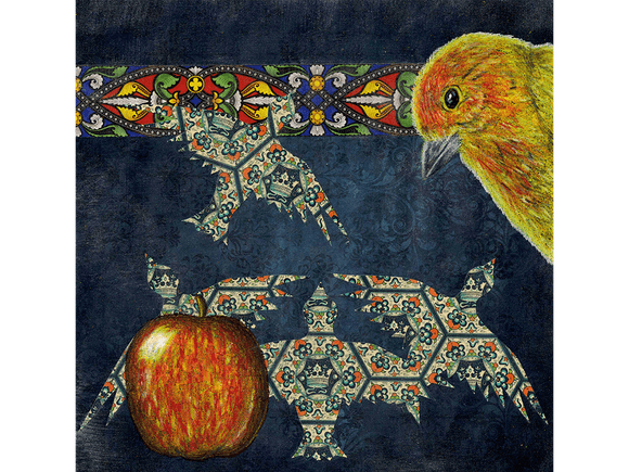 Flaming Finch fine art giclee print