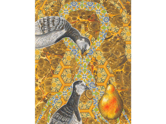 Barnacle Geese fine art giclee print