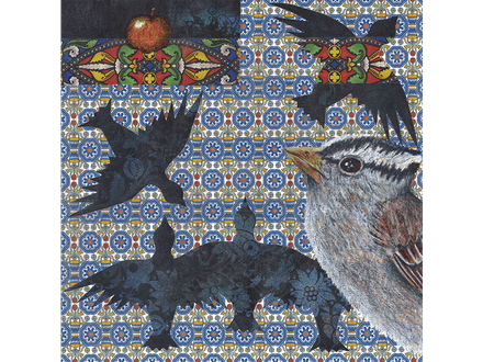 Startled Sparrow fine art giclee print