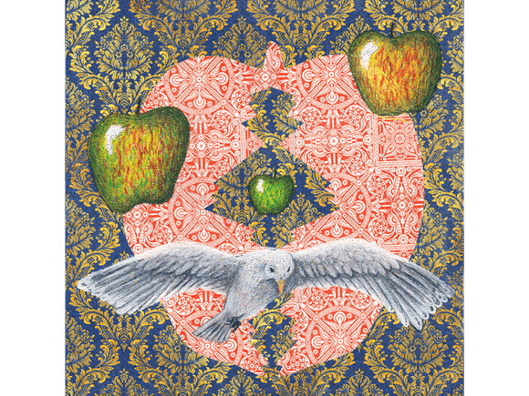 Seagull fine art giclee print