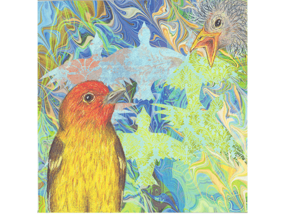 Concerned Tanager Fine Art Print