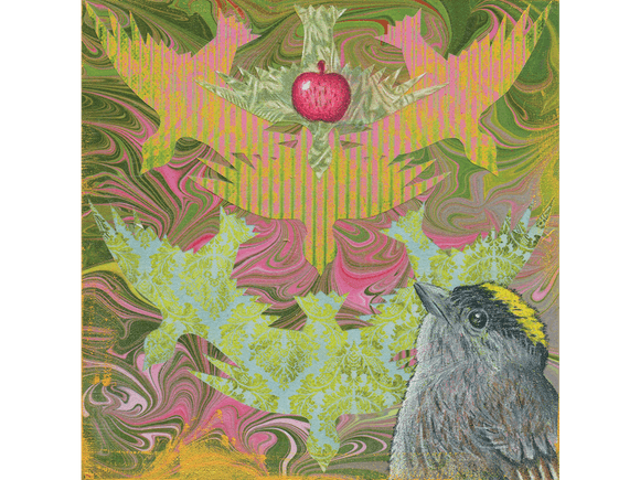 Crowned Sparrow original drawing and collage on panel