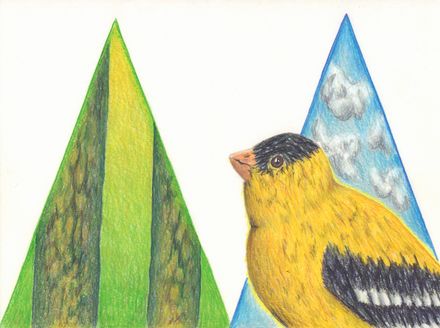 Glowing Goldfinch fine art giclee print