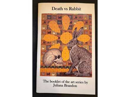 Death vs Rabbit book