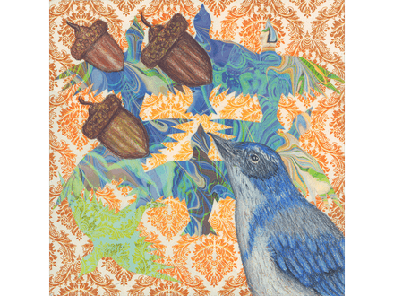 Acorns 3 Fine Art Print