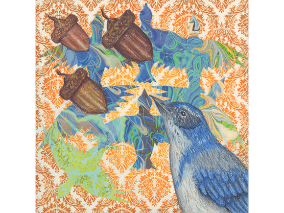 Acorns 3 Fine Art Print