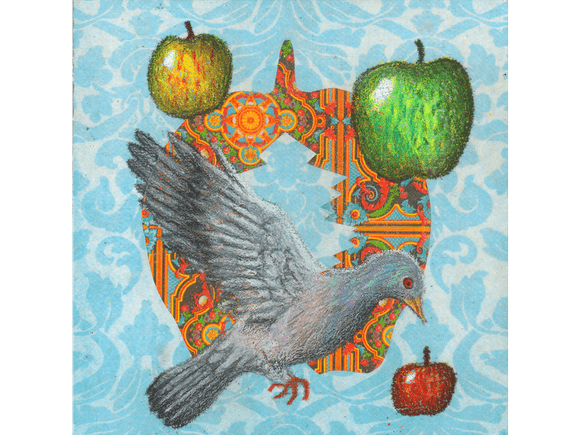 Pigeon fine art giclee print
