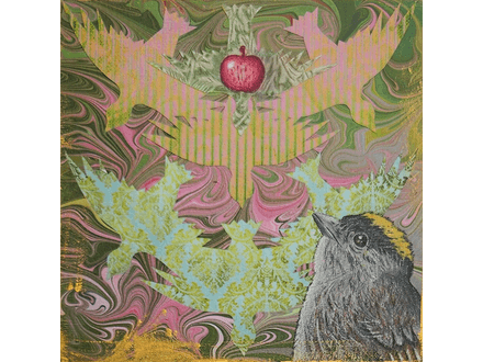 Crowned Sparrow fine art print