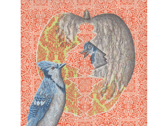 Blue Jays original drawing and collage on panel