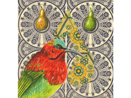 Crimson Sunbird fine art giclee print