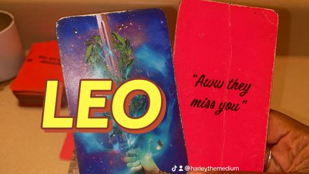 LEO EXTENDED 7-23