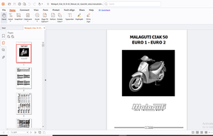 Malaguti Ciak 50 Euro 1- Euro 2 Service Manual - PDF DOWNLOAD 
